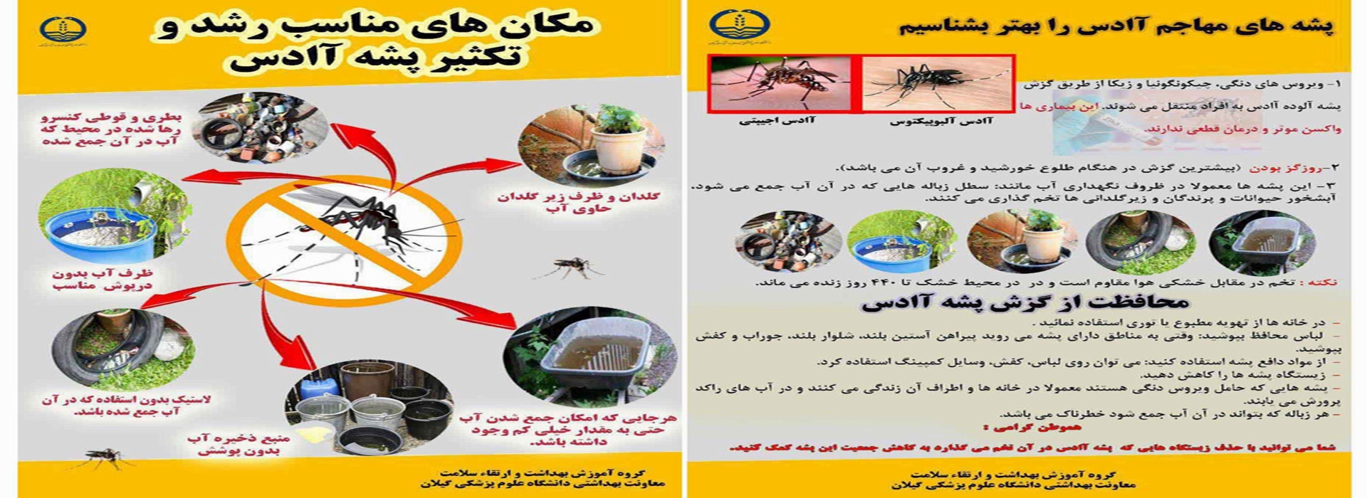 پشه های مزاحم آادس