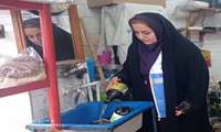 بازدید کشیک نوروزی کارشناسان سلامت محیط شبکه بهداشت و درمان فومن 