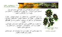 توانمند سازی نوجوانان و جوانان برای خودمراقبتی