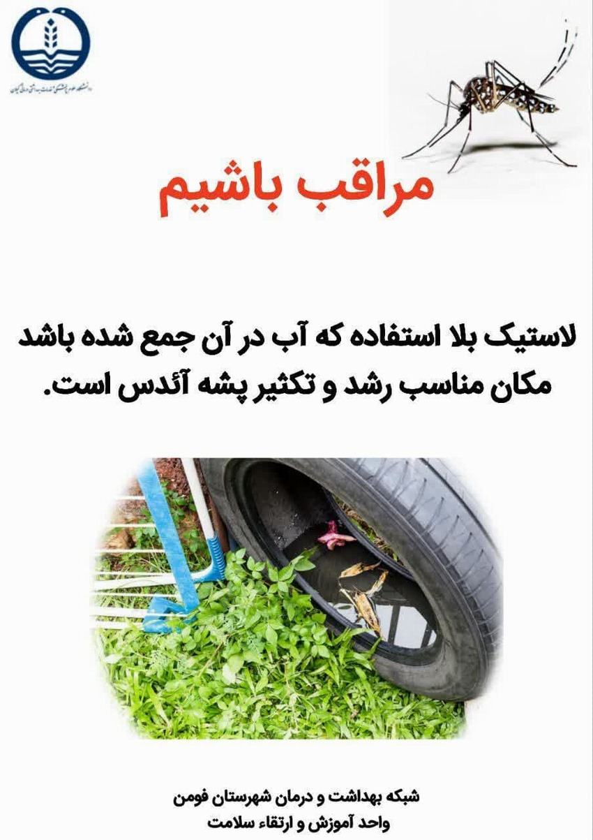 پشه ائدس