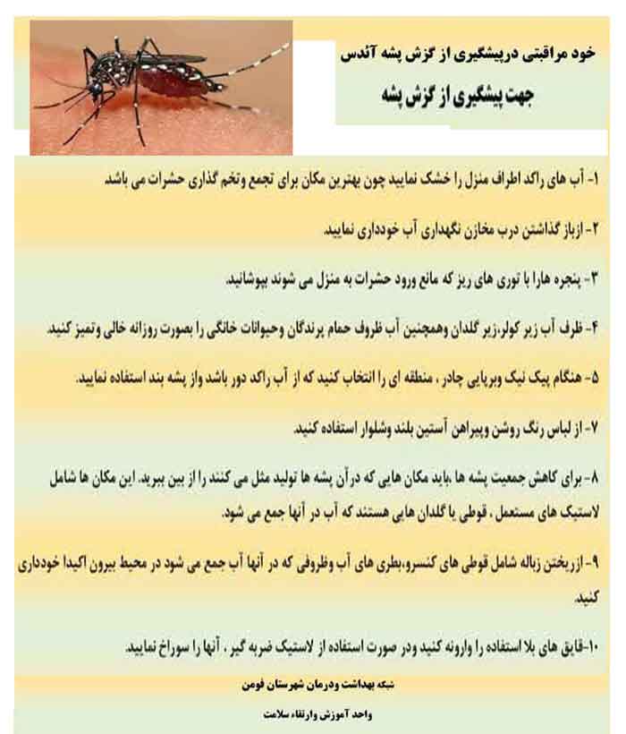 پشه آادس